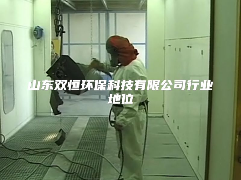 山東雙恒環(huán)?？萍加邢薰拘袠I(yè)地位